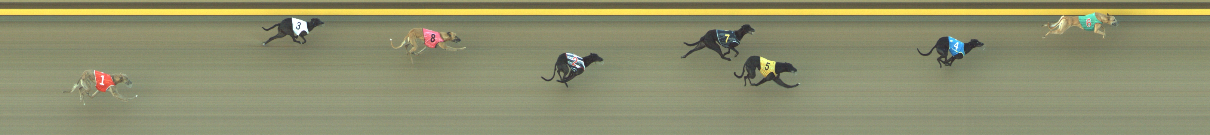 Race result finish photo